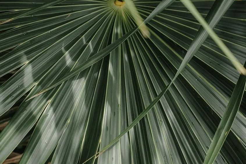 自然无界 | 复氏样板房的自然风情与品质设计-16