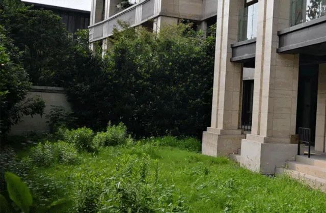 欧式花园的灵动与和谐-31