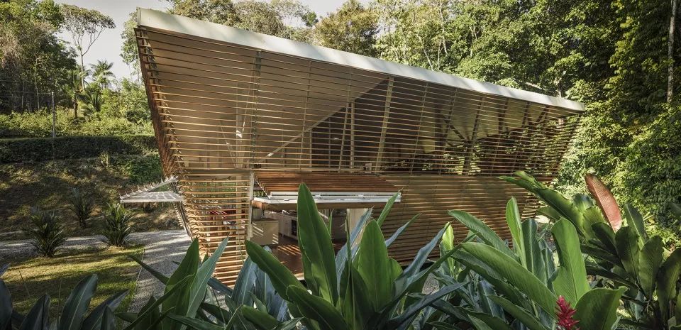 热带雨林中的环保小屋-8