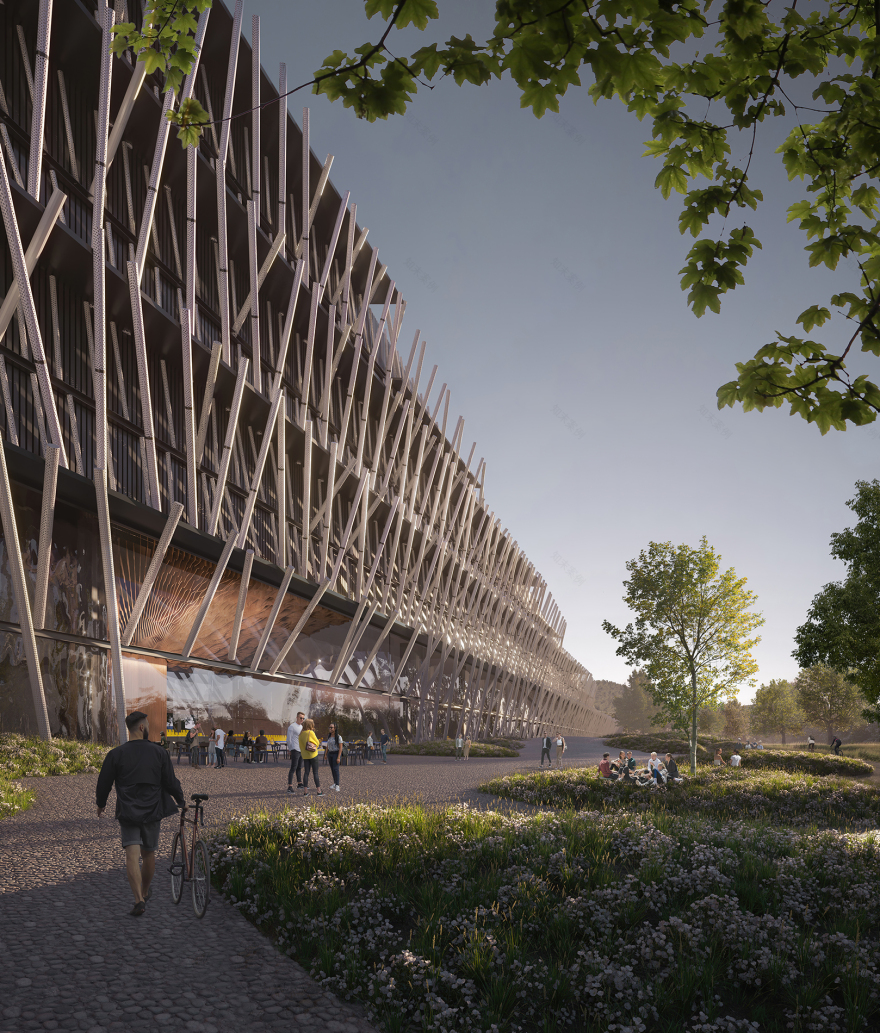 Winter Sports World - Collins and TurnerCollins and Turner-15