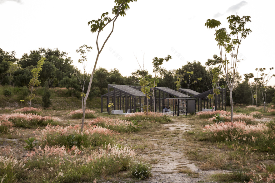 墨西哥 Guadalajara 社区公园重生丨SPRB Arquitectos-20