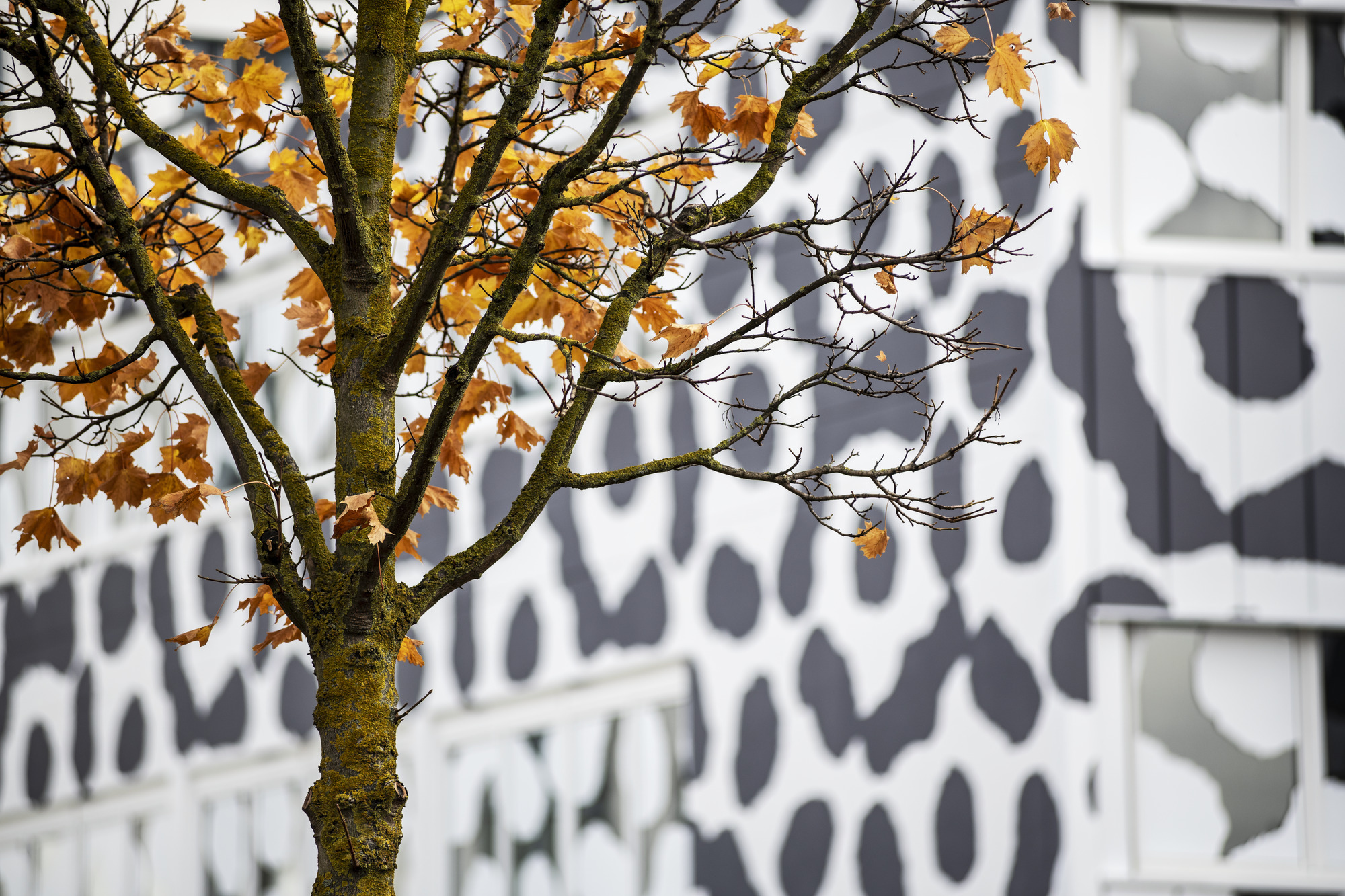 SW35 办公楼立面改造丨德国斯图加特丨J. Mayer H. Architects-30