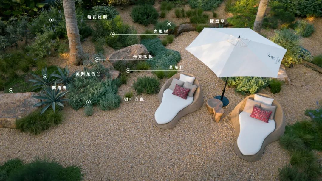 海口江东麓岛阅海新作样板区丨中国海口丨成都市易境园艺有限责任公司,DEAL德珈设计等-62