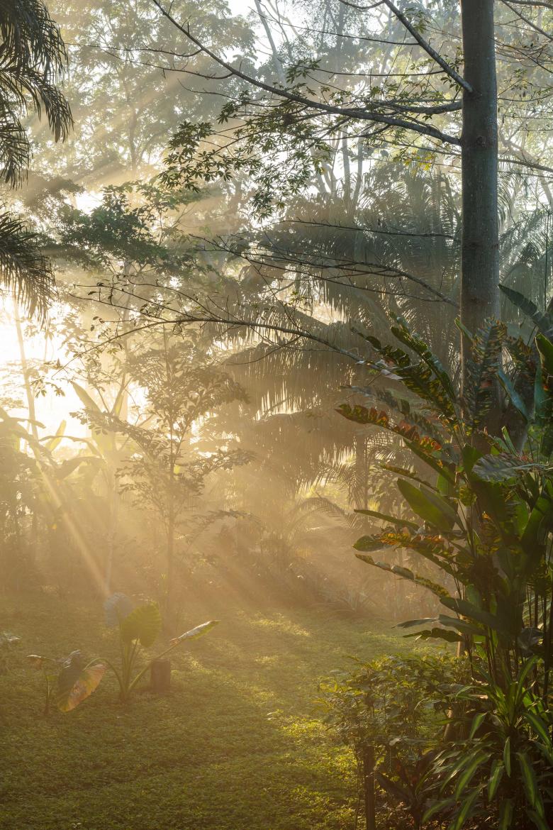 埃奈酒店丨秘鲁丨Jasper Architects-10