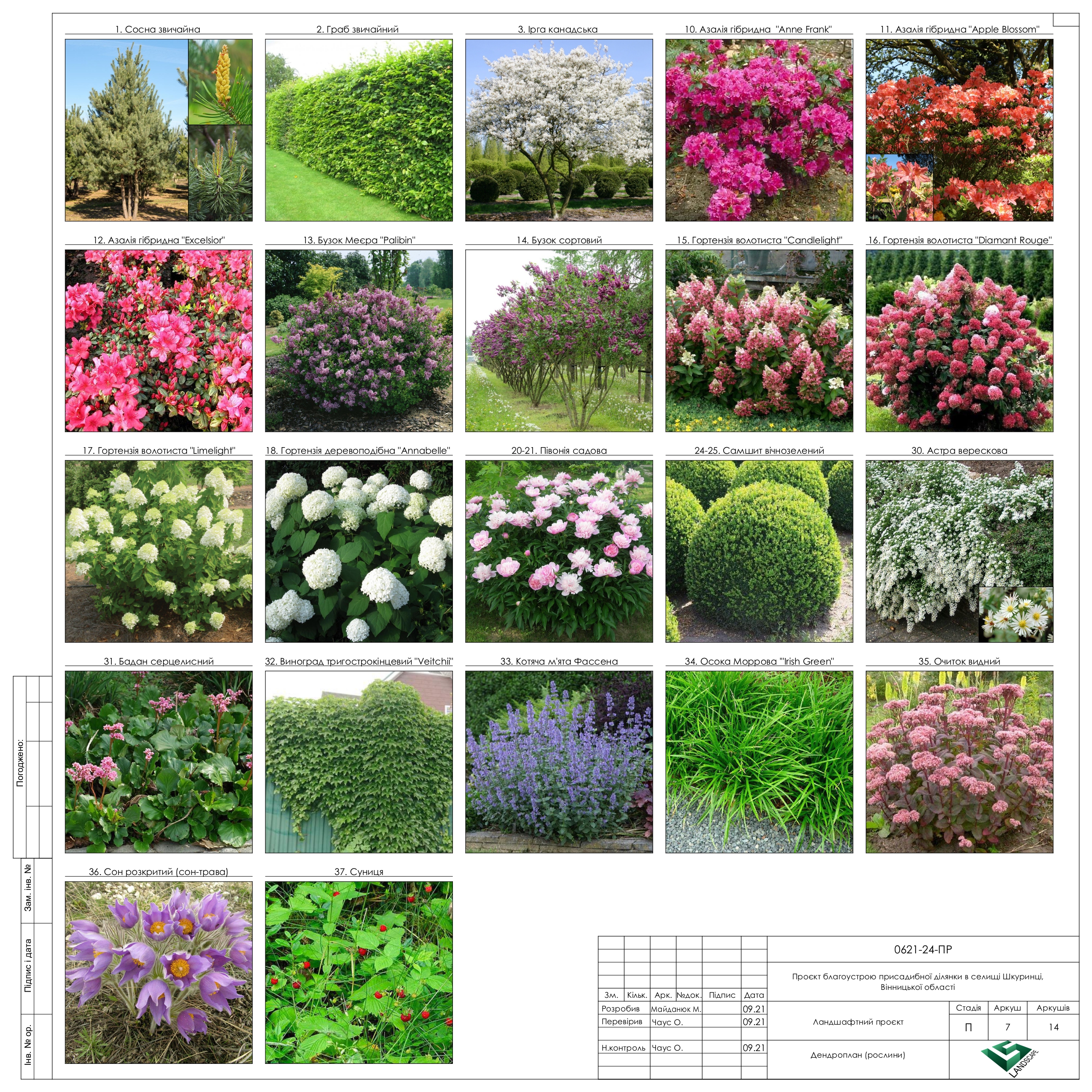 私家花园丨Amazing Gardening,Kyiv-7