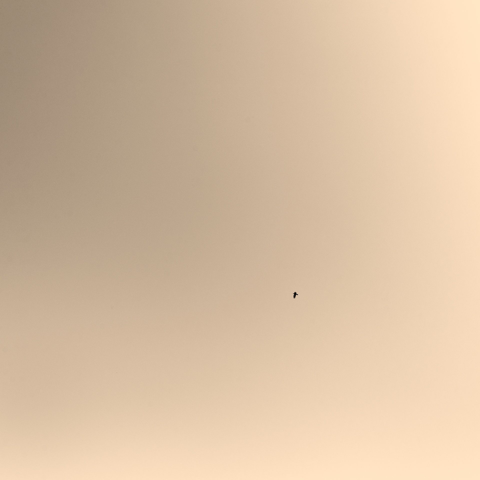 HORYUJI,最古老的木制建筑丨日本奈良丨HashiLaboratory-25