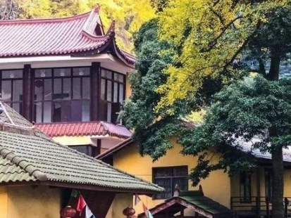 川西林盘招商推介会丨中国成都丨四川省明杰设计顾问有限公司-10