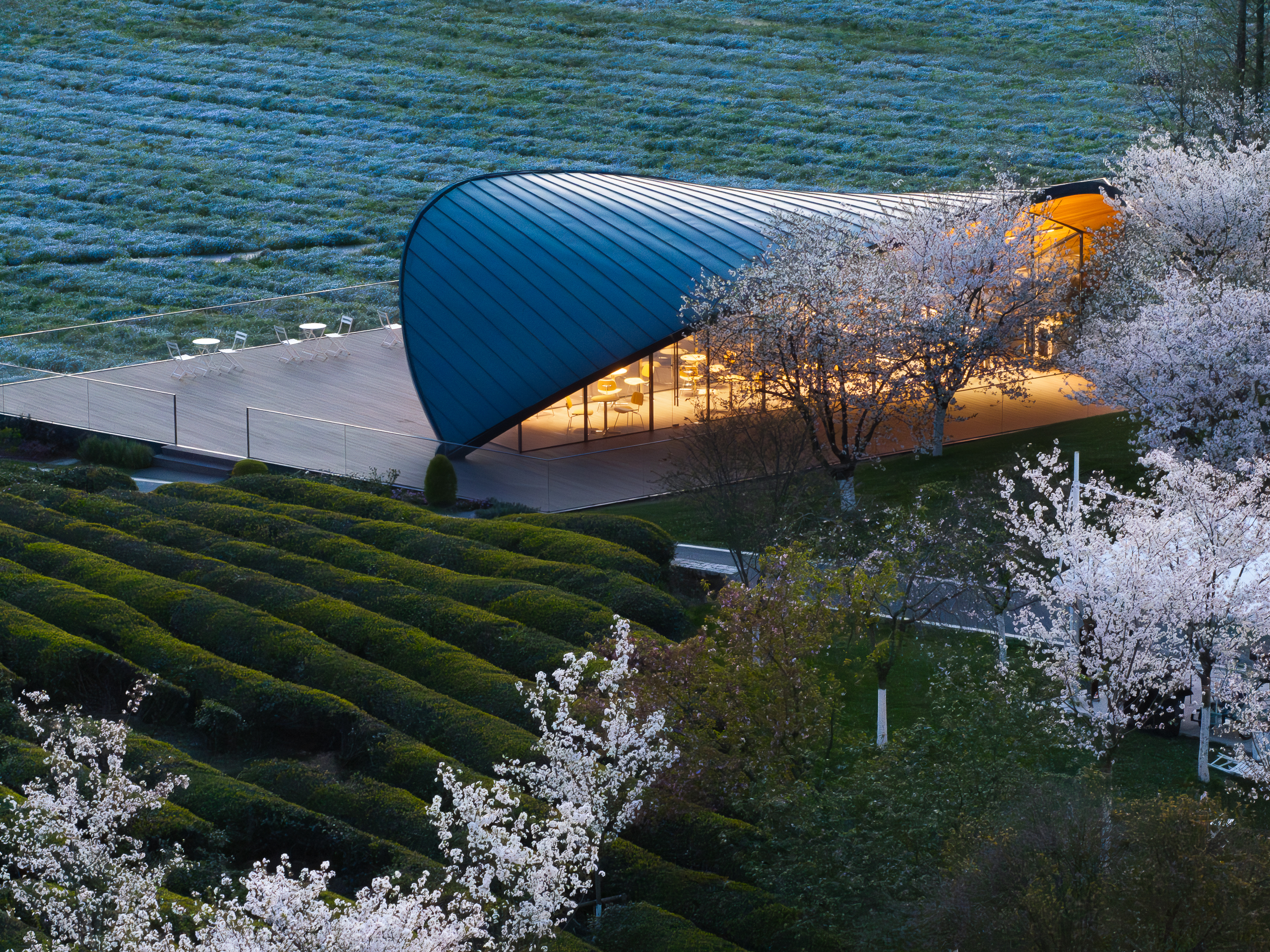 KFS | One-leaf coffee-9