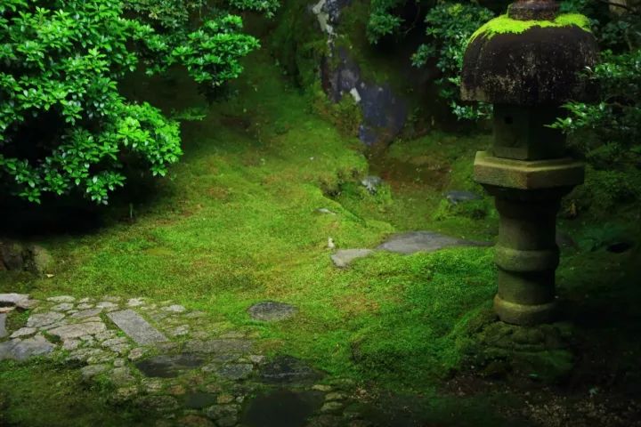 庭院满青苔，极美！-49