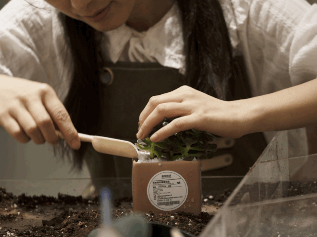 鹿岛生活 | 感官之旅的空间设计-48