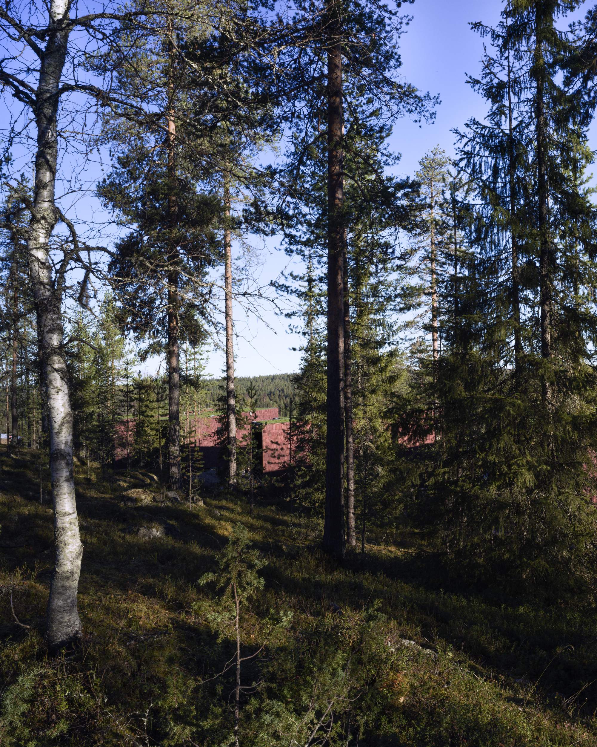 Arctic TreeHouse酒店丨芬兰罗瓦涅米丨芬兰建筑工作室Puisto-22