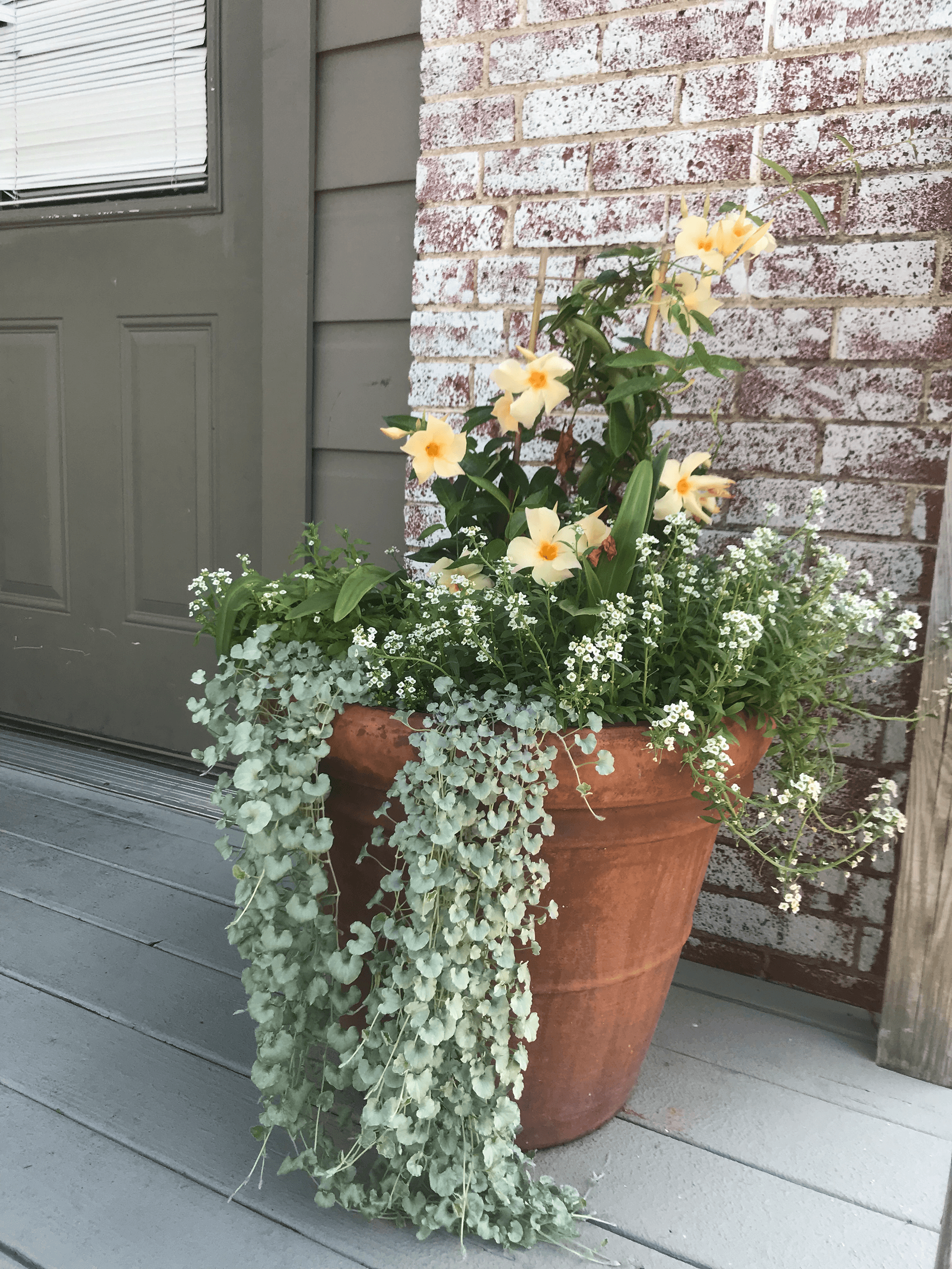 Flower Arrangements-6