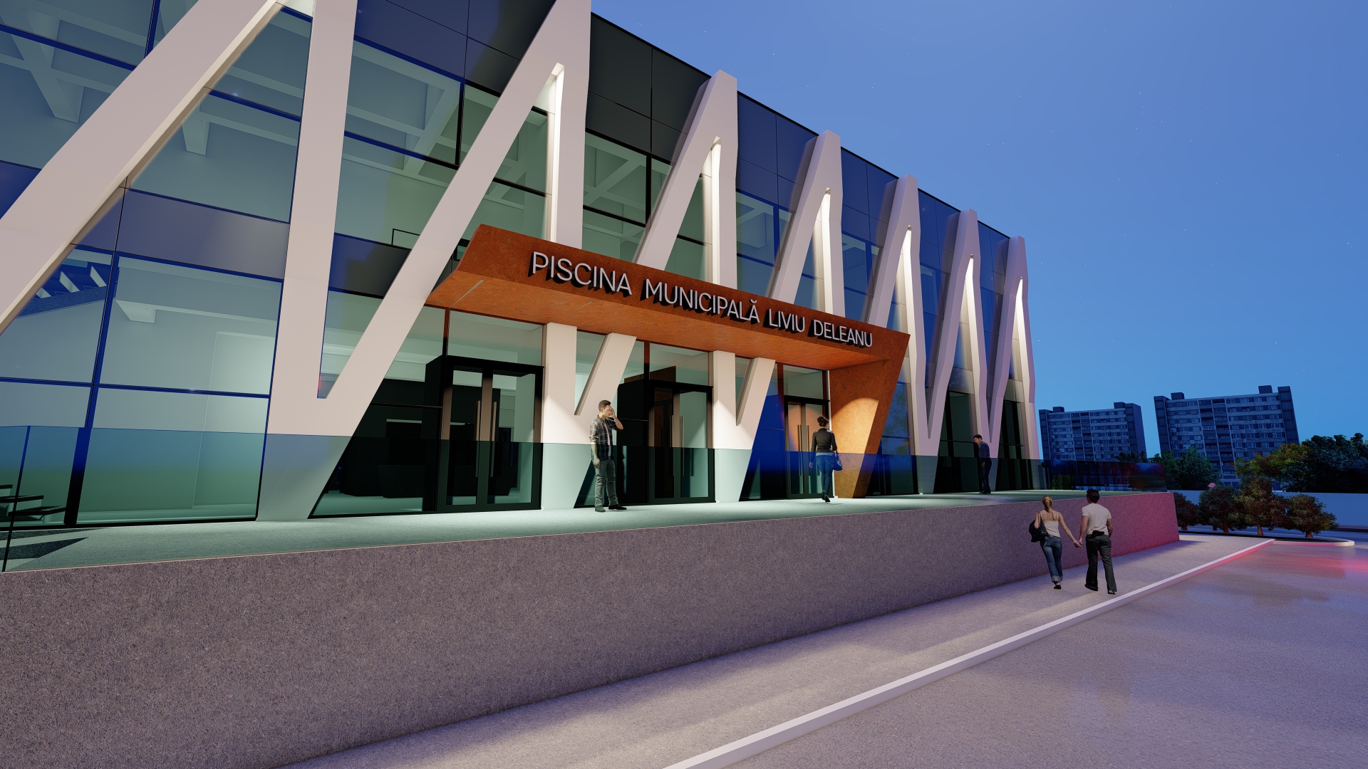 Liviu Deleanu swimming pool-11