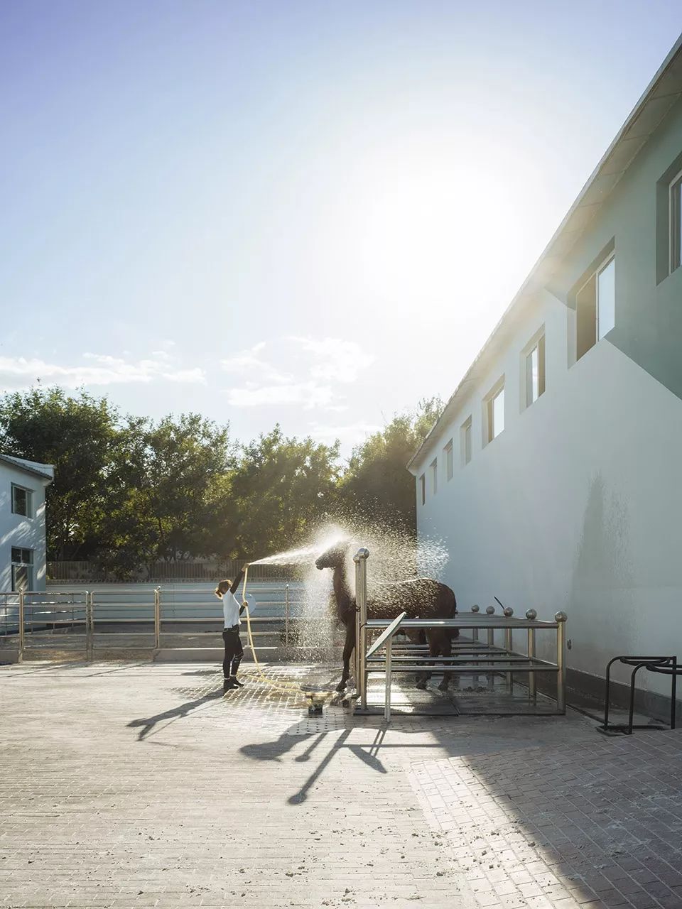 大料建筑新作首发 · 1座1万平米的“巨马”-22