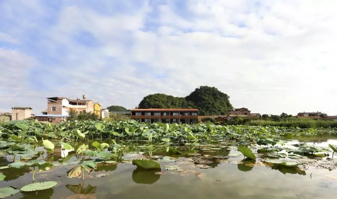 朴里精品酒店 | 现代与传统共生，重塑乡村度假体验-36