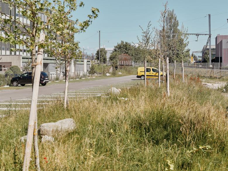 公园（的）关闭丨瑞士丨FORSTERPAYSAGE-9