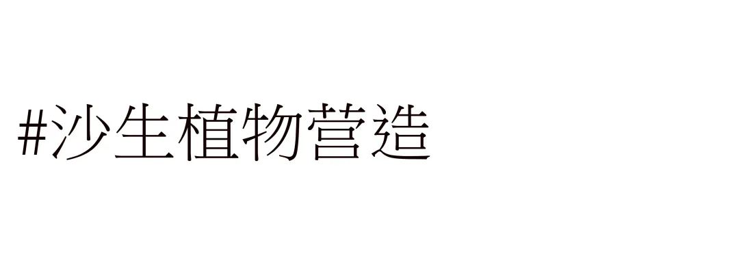 三亚阿那亚·Y酒店丨中国三亚丨WTD纬图设计-20