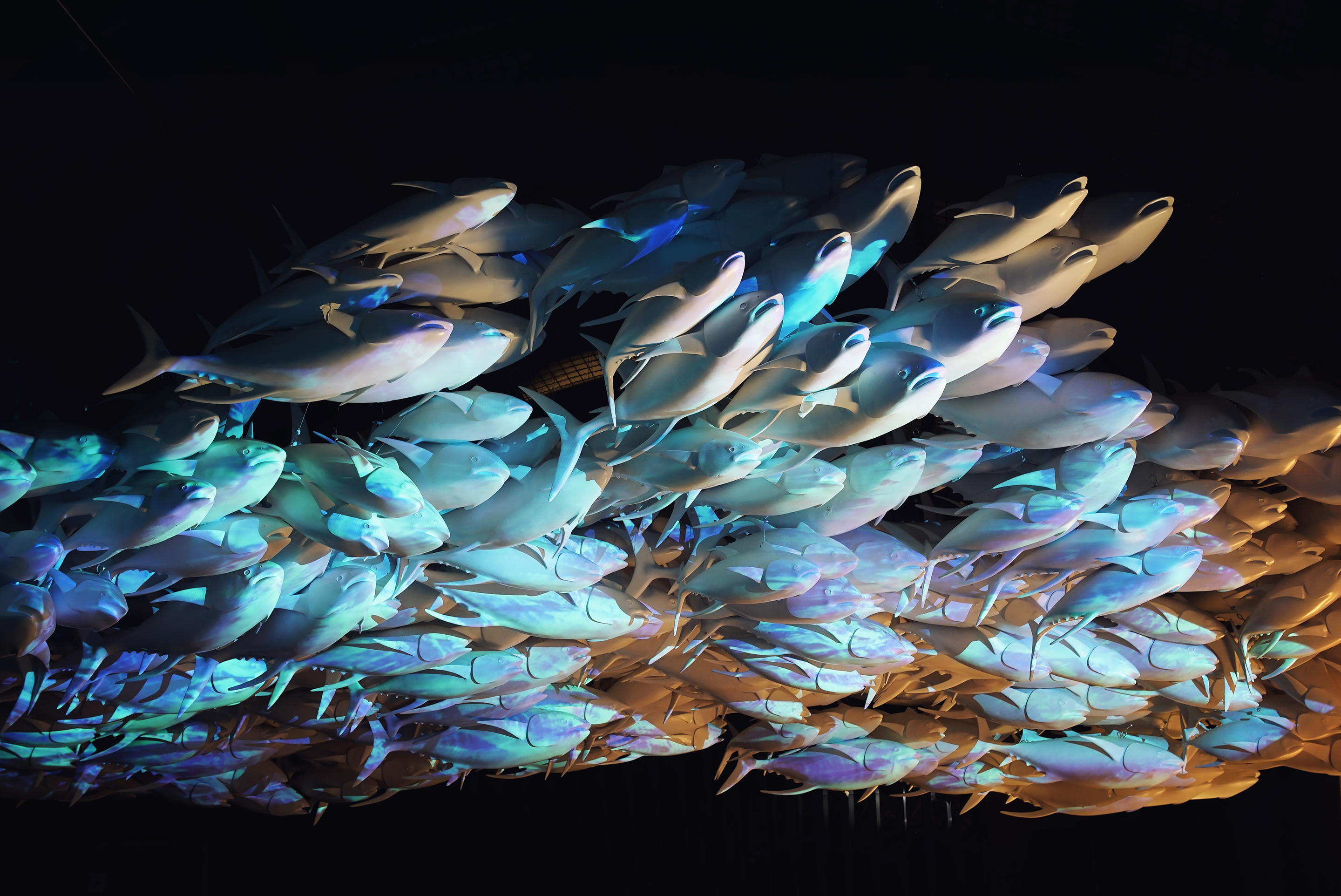 Hydropolis 水主题中心-99