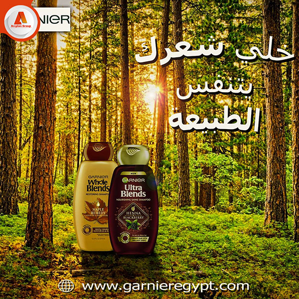 Graphic Design Diplomas (Students Projects )-14