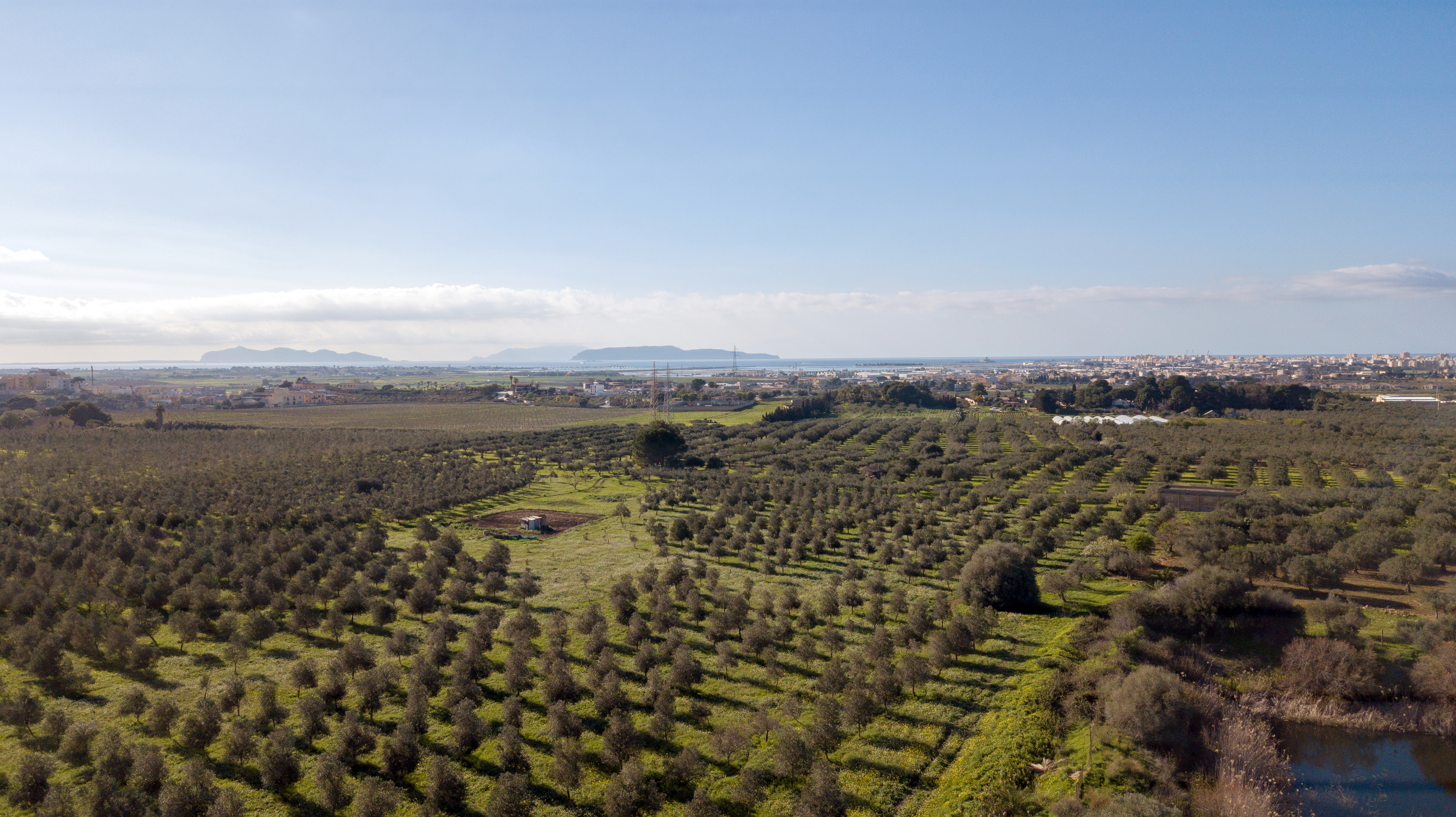 CasaFEVI 别墅改造丨意大利特拉帕尼-10