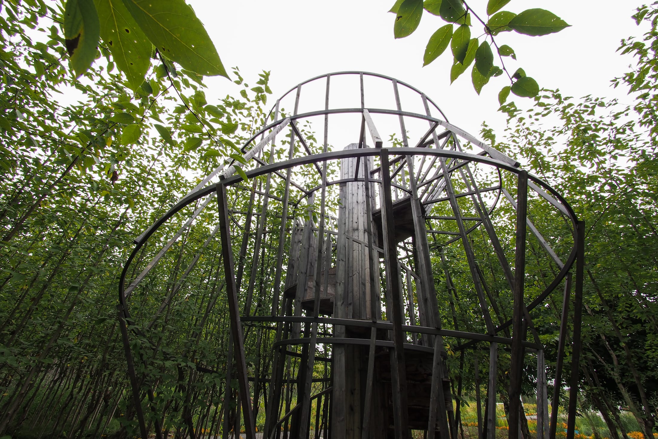 2019加拿大国际花园节(第二部分),Reford Gardens-93