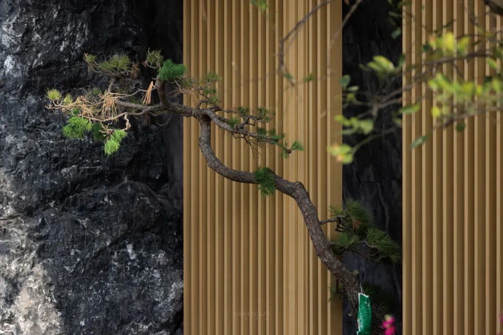 杭州星创云城府丨中国杭州丨Shinescape 三尚国际-20