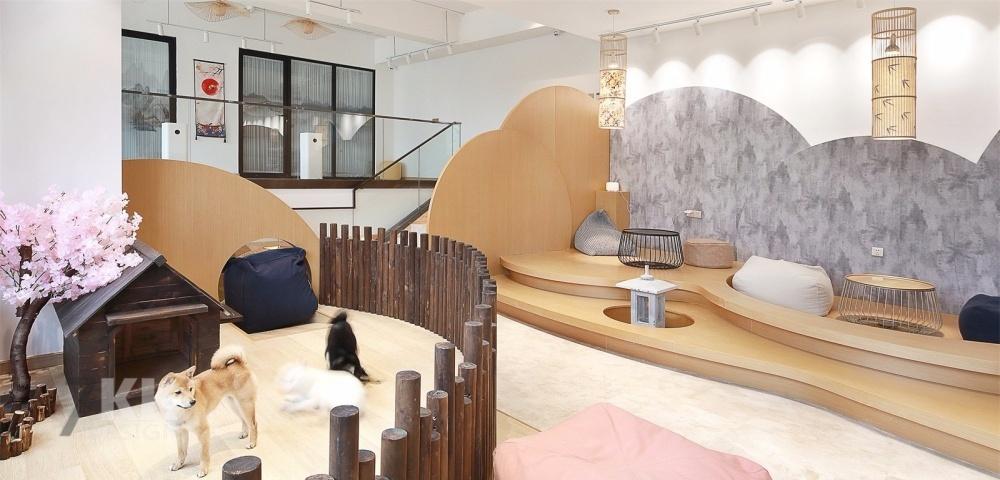 秋田犬主题柴犬咖啡馆-22