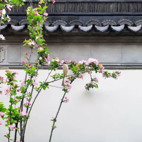 12种营造,再现中式建筑美学-156