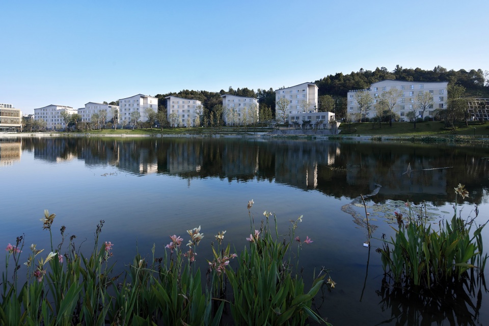 杭州威雅实验学校 | 英式寄宿学校的现代诠释-121