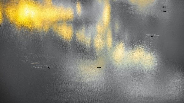 Rwanda Institute for Conservation Agriculture | MASS Design Group-90