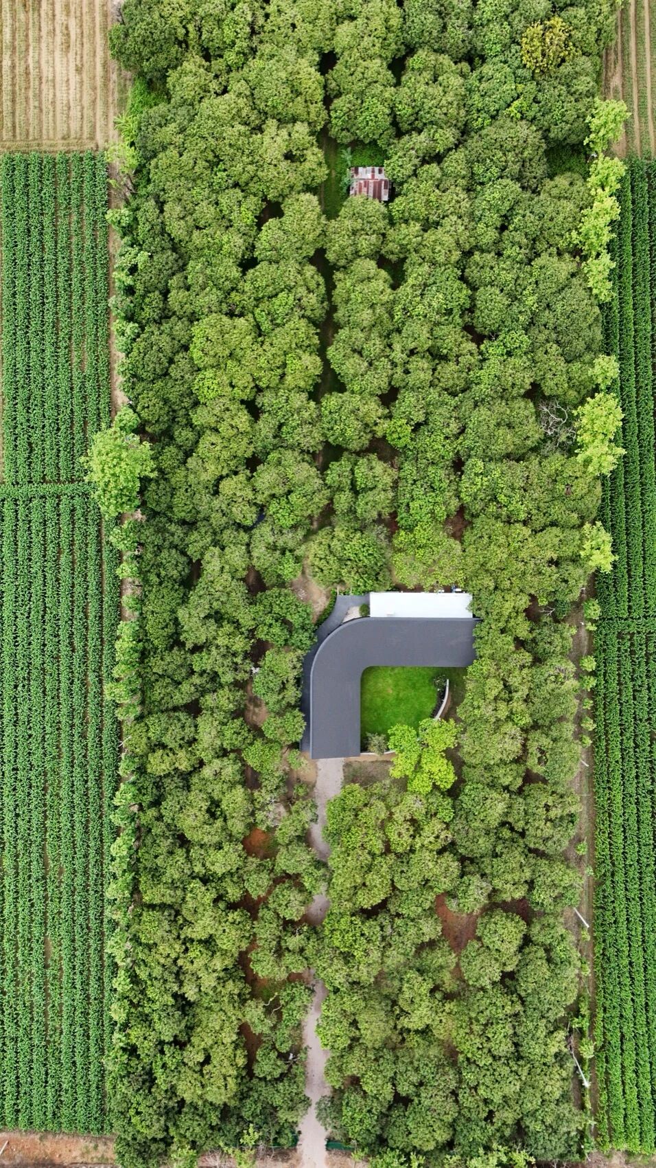 新作｜小花园中的MADA咖啡馆丨Thailand丨BodinChapa Architects-9