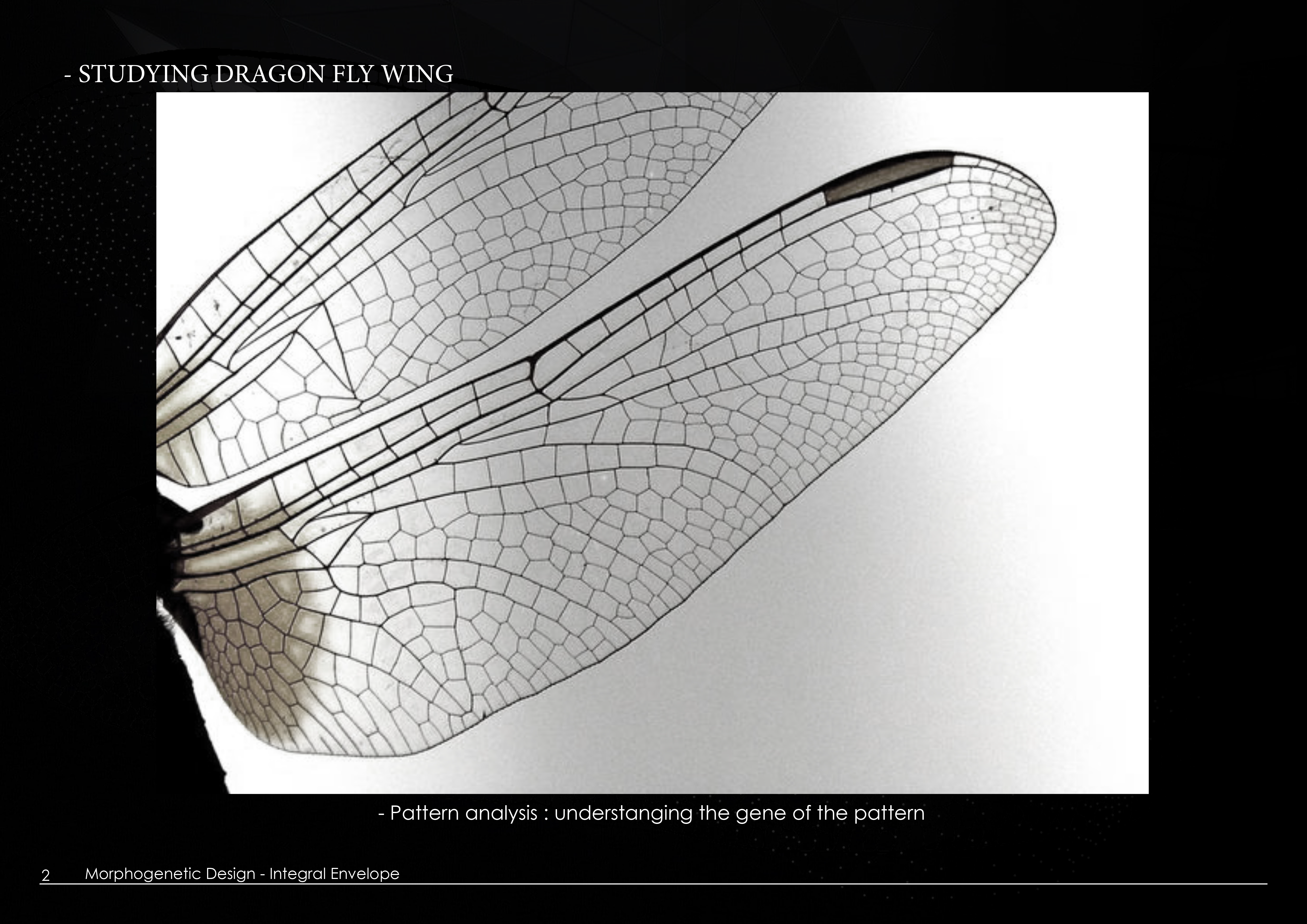 Morphogenetic Design - Integral Envelope July 2020-5