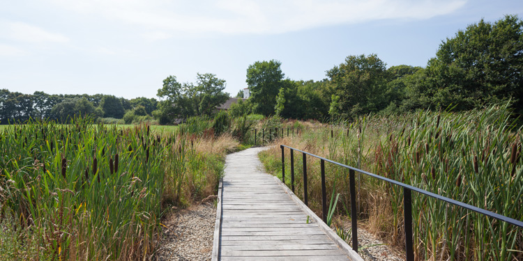 Centre Beautour环境与生物多样性科研中心-46