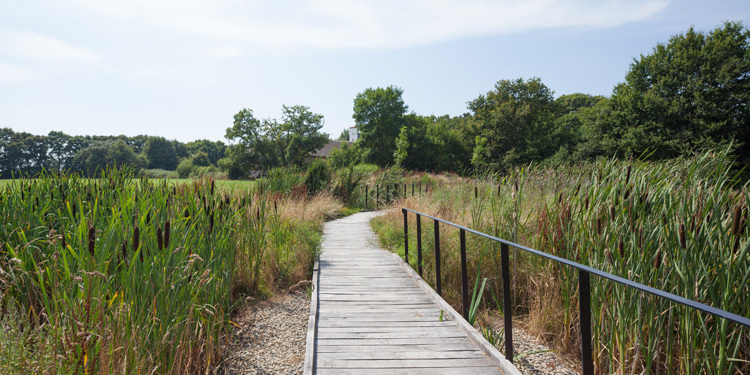 Centre Beautour环境与生物多样性科研中心-46