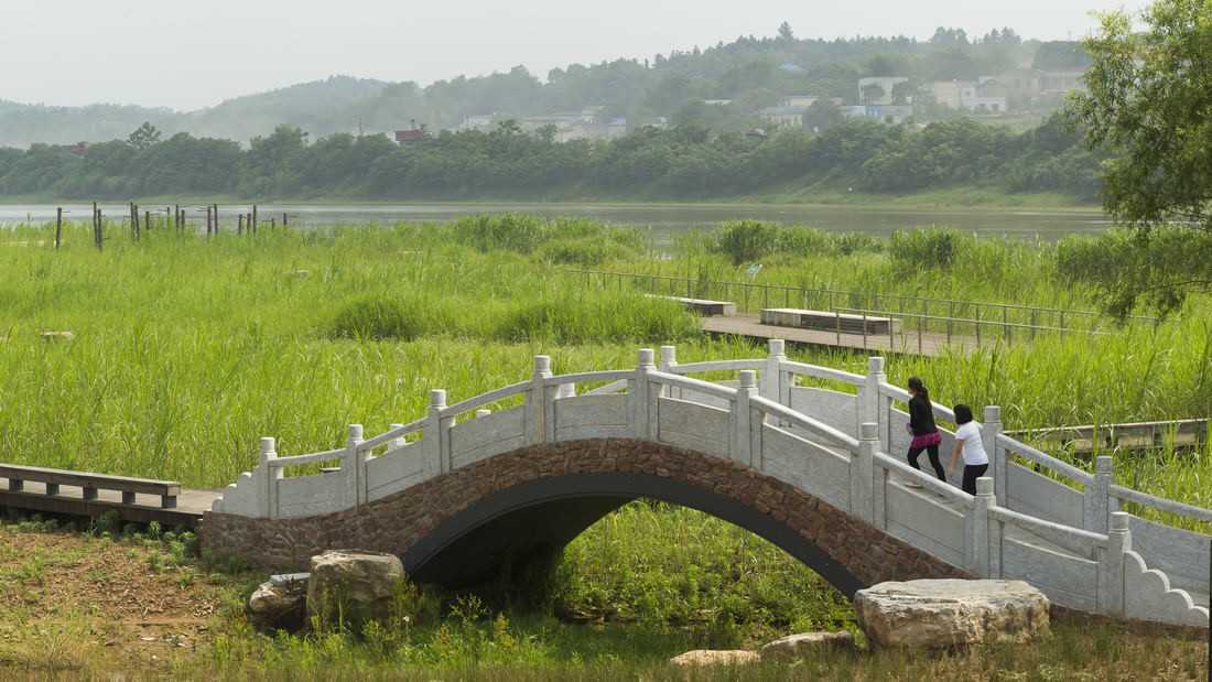 长沙巴溪洲岛湿地生态公园丨中国长沙-14