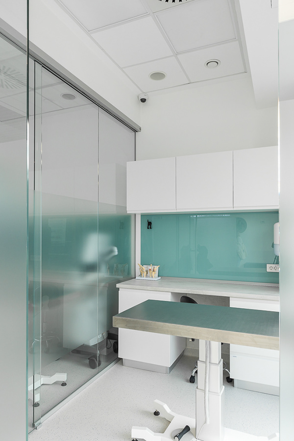 流动兽医丨罗马尼亚布加勒斯特丨Reflex Architecture-9