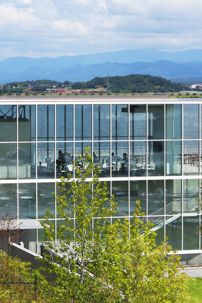 丨Taniguchi and associates-19