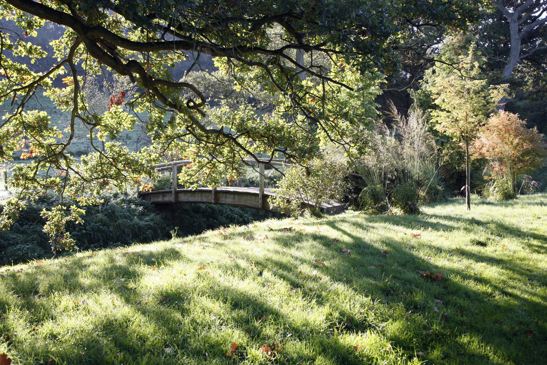 Brockhampton Cottages-1