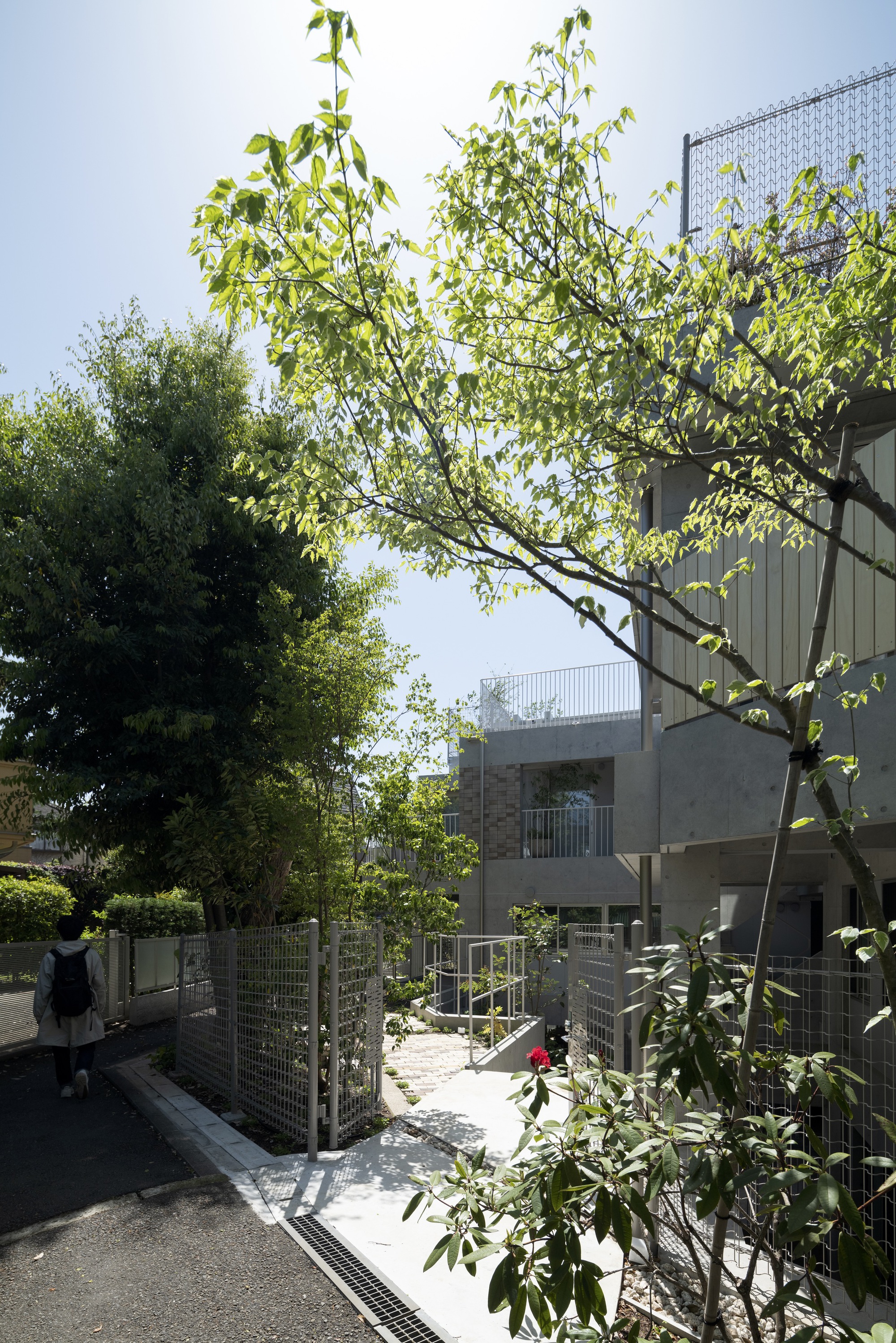 CHIDORI TERRACE 合作住宅综合体丨日本-41