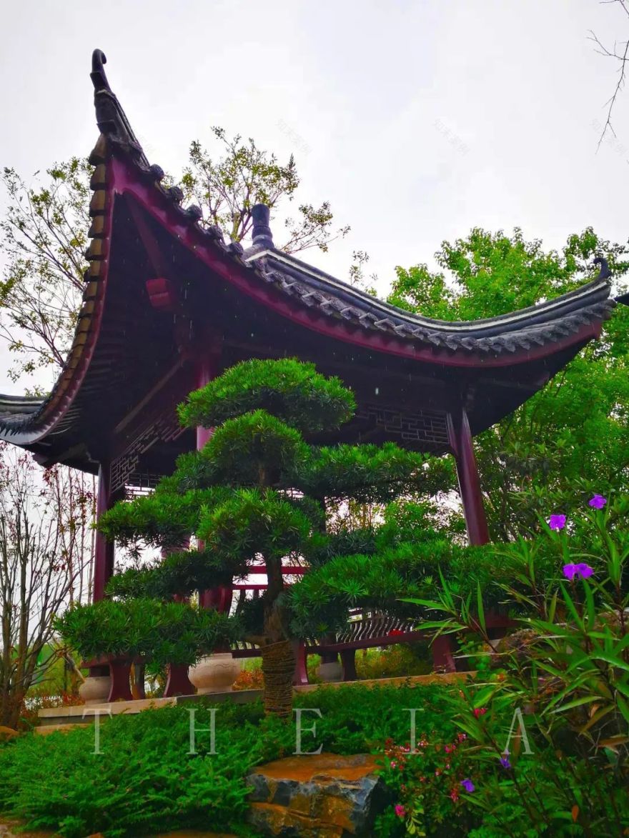 甬上情缘 | 十里红妆的园林艺术-63