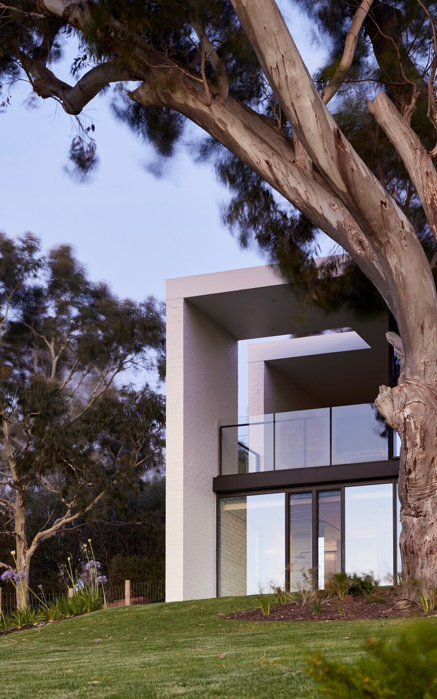 澳大利亚糖枫树之家-17