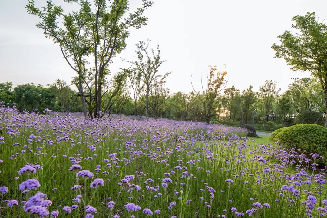 武汉青山婚礼堂——建筑与景观一体化设计-32