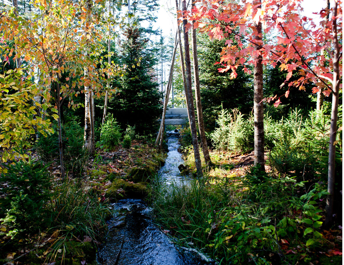 2017 ASLA 住宅设计类荣誉奖：东北港，沙漠山上的景观复原，美国 / Stephen Stimson Associates Landscape Architects, Inc.-15