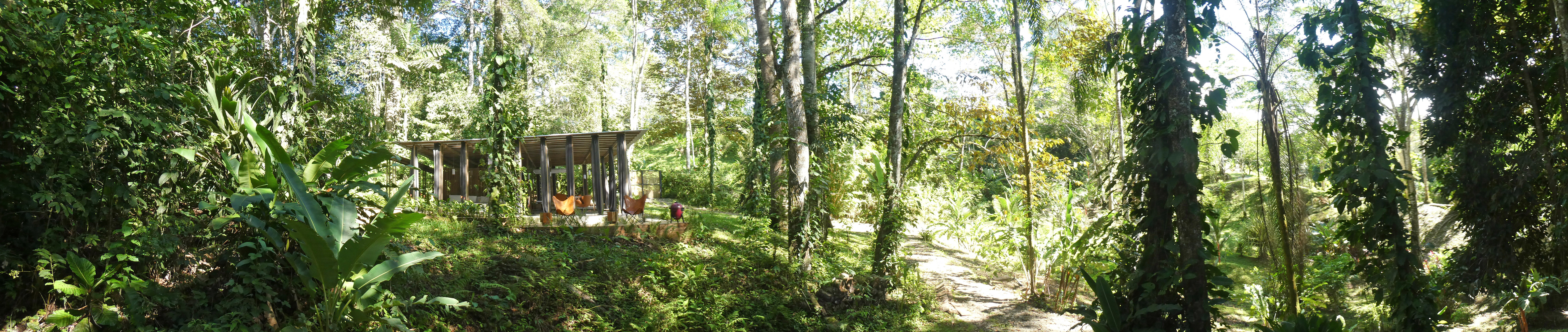 开阔的丛林小屋丨哥斯达黎加-21