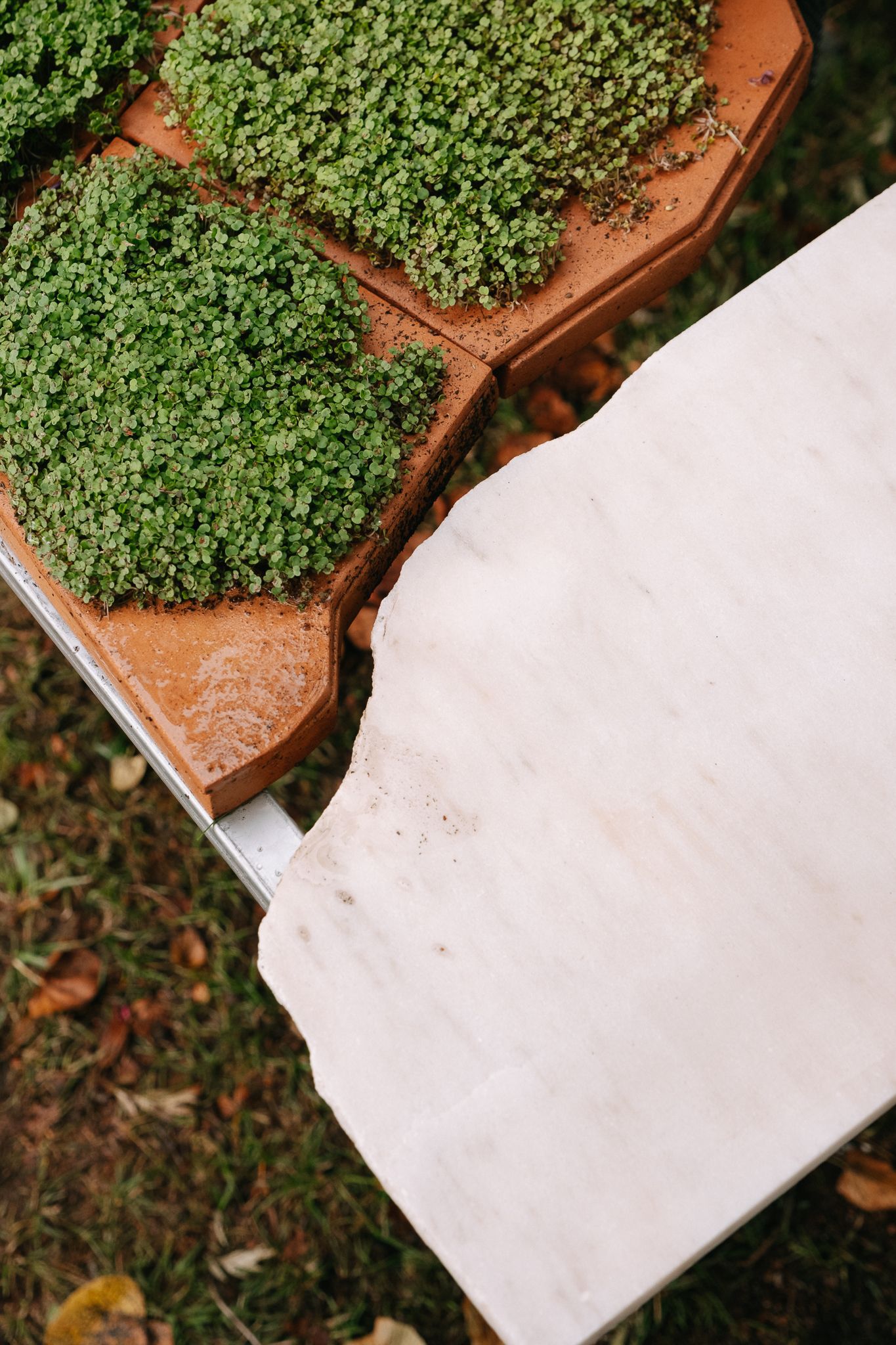 活体多物种厨房丨葡萄牙波尔图丨Fahrenheit Works-30