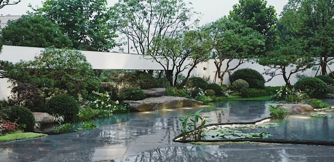 石头记：落雨声皆看化 | 龙湖葛洲坝 · 景粼天著-79