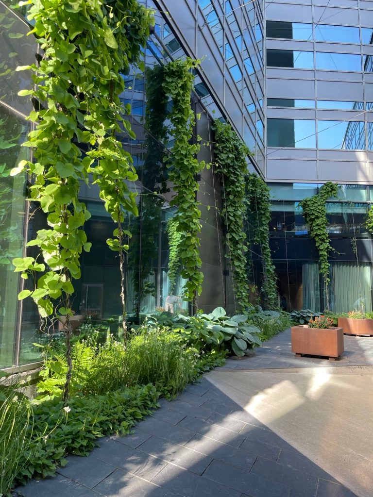 瑞典基斯塔诺周围的广场-14