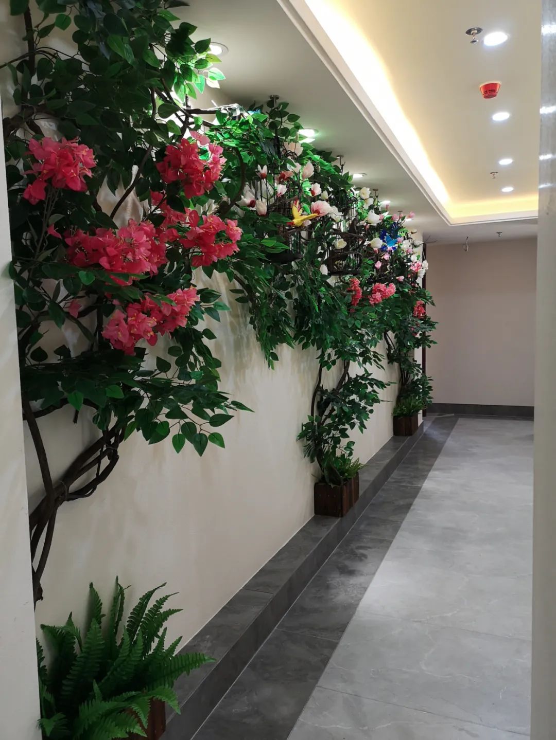 榕记粤菜体验·榕记蛇宴-36