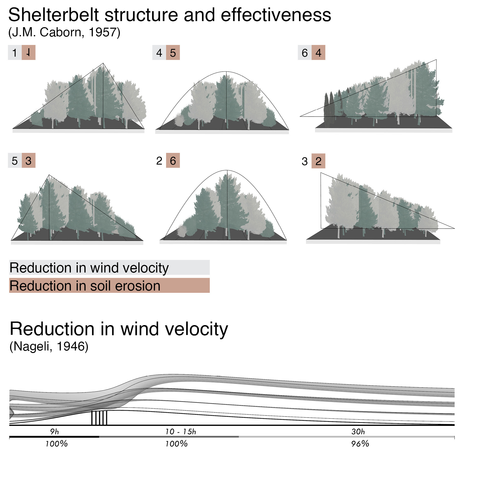 Debate on the 'Green': Shelterbelt Plantation-20