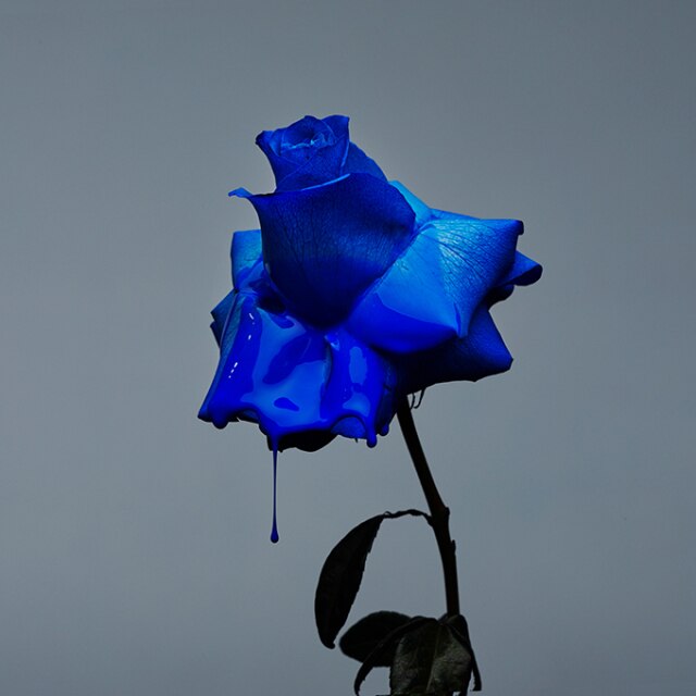 You can now buy Vicki Lee’s floral artworks online-2